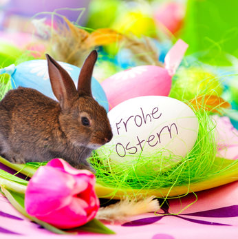 Der SV Lok Rangsdorf wünscht Frohe Ostern!!